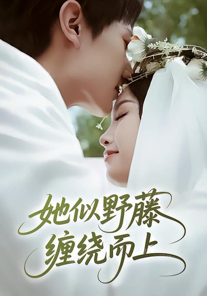 她似野藤，缠绕而上（51集）万烽&李文茹 高清完整版